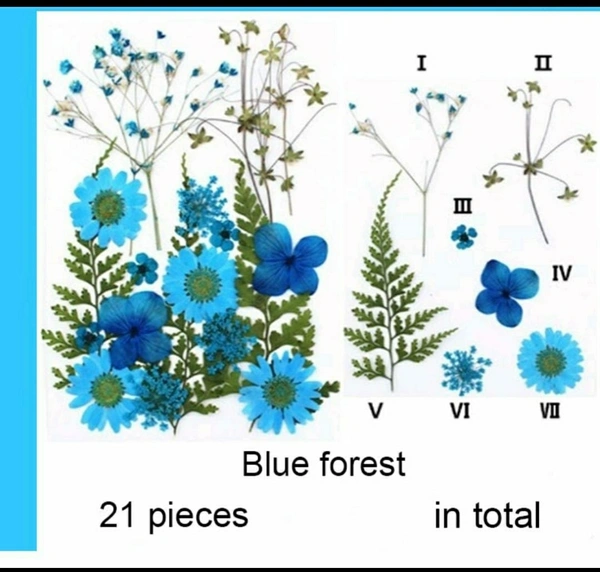 Dry Flower Sheet 30