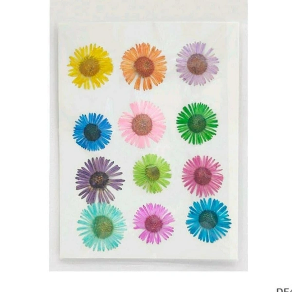 Aster Mixed Colors Sheet