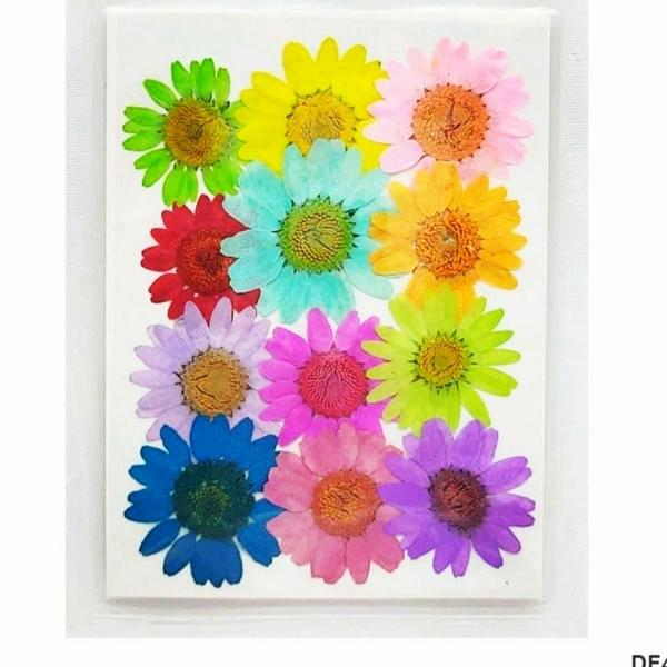 Daisy Mixed Colors Sheet