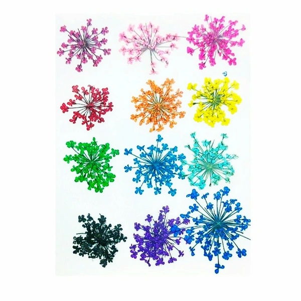 Baby Breath Mixed Colors Sheet