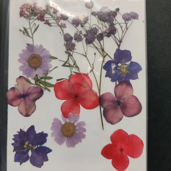 Dry Flower Sheet 06