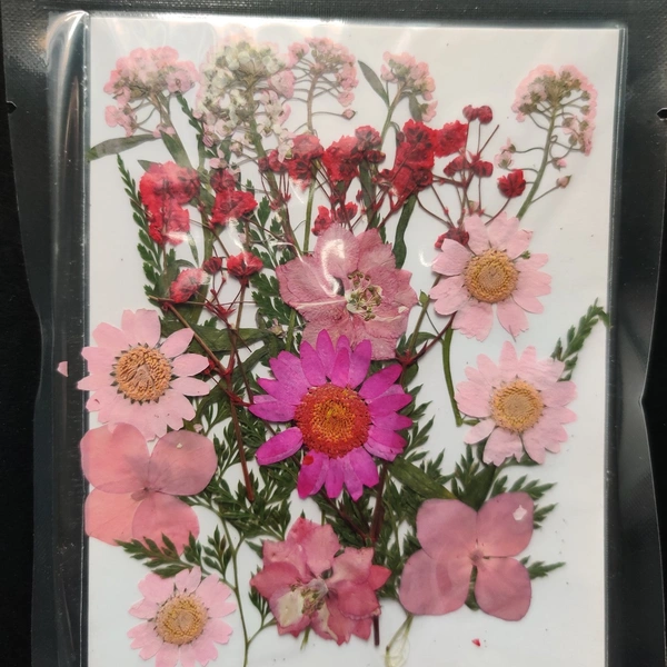 Dry Flower Sheet 13