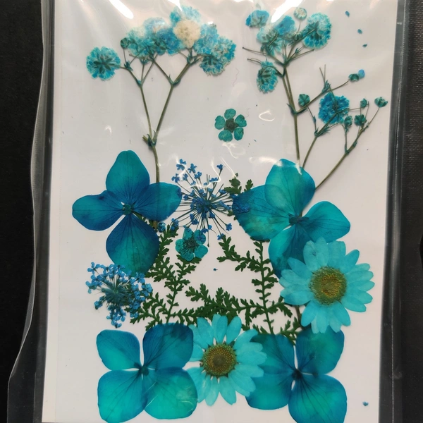 Dry Flower Sheet 12