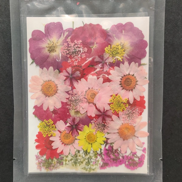 Dry Flower Sheet 01