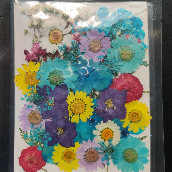 Dry Flower Sheet 03