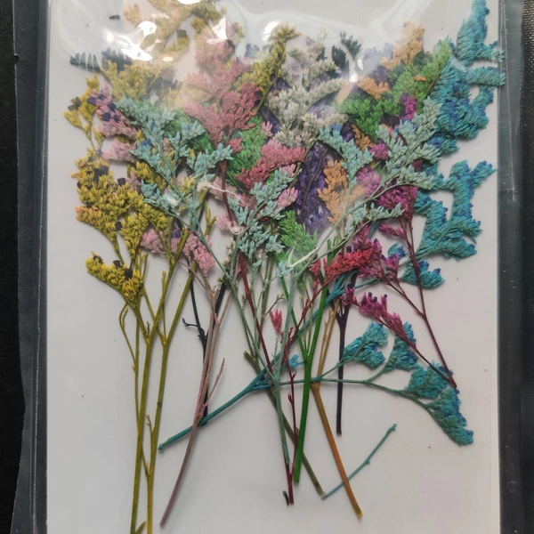 Dry Flower Sheet 09