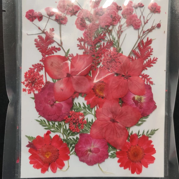 Dry Flower Sheet 07