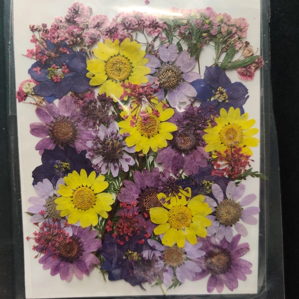 Dry Flower Sheet 02
