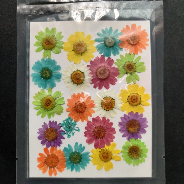 Dry Flower Sheet 05