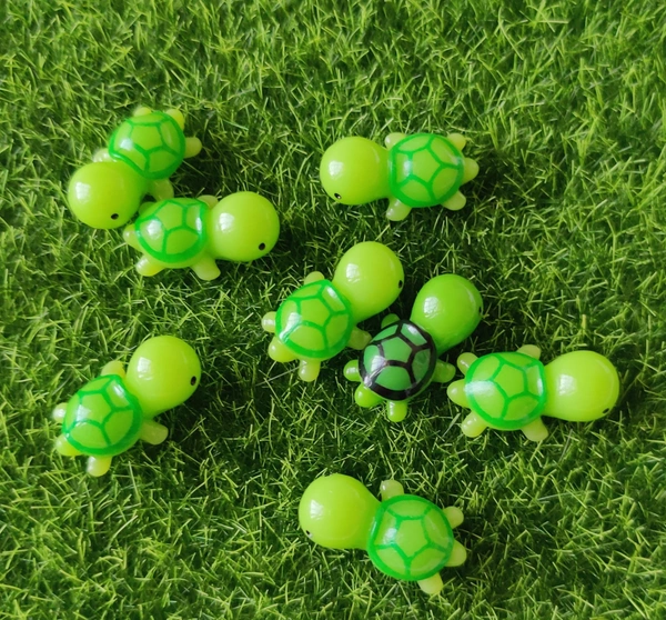 Green Tortoise 