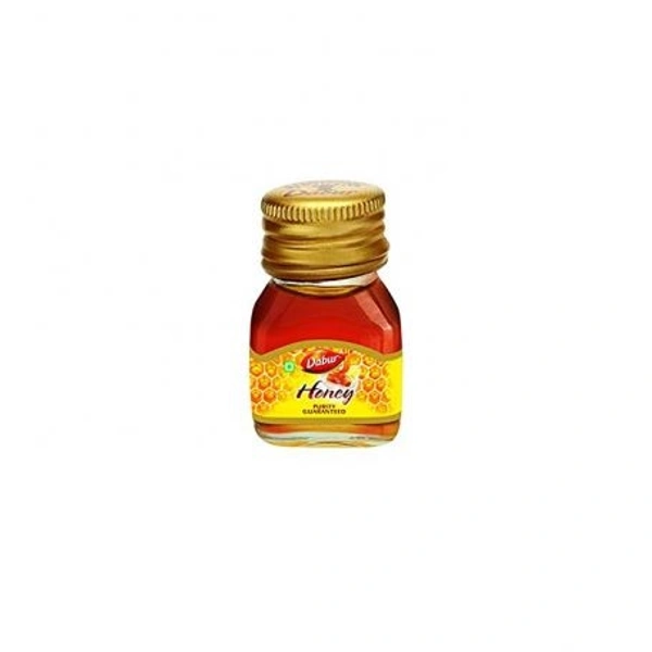 Dabur Honey  20g
