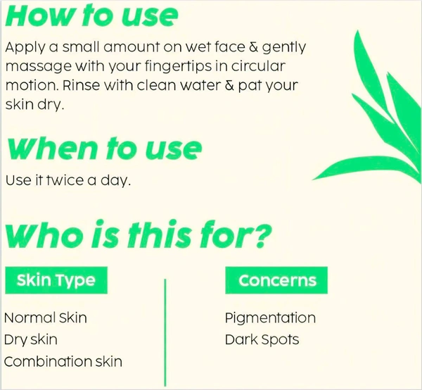 The Plant Fix Plix  5% Pineapple Foaming Facewash For Depigmentation,100ml | Cleanser For Skin Brightening & Even Toned Complexion | Free Of Sulphates, Paraben & Silicones - 100 ml