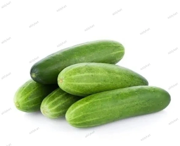 Cocumber -Kheera-500gm