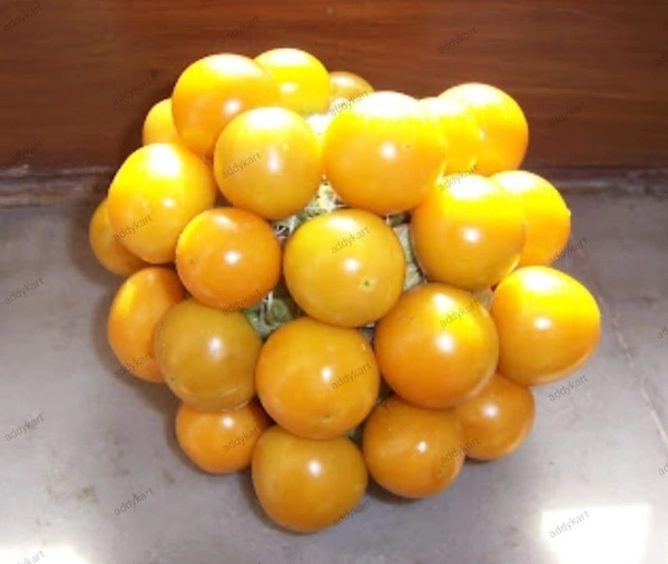 Cape Gooseberry (Rasbhari) 