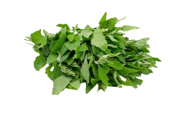 Bathua- Bundle-1 Bundle (200gm-2400gm)