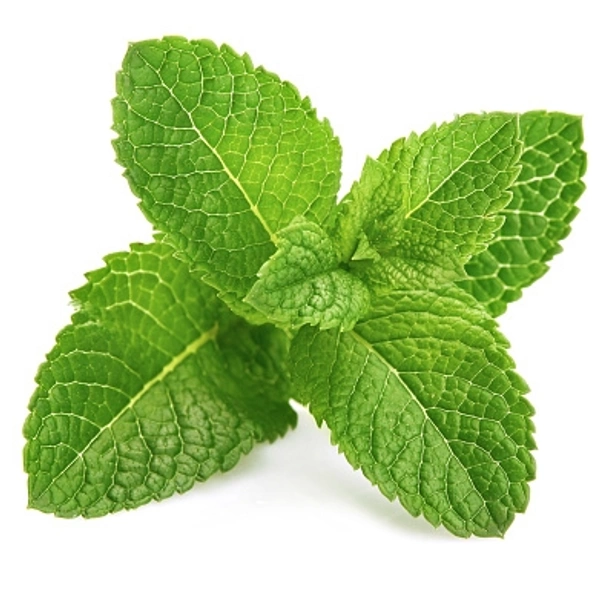 Mint (पुदीना) - 1 Bunch 