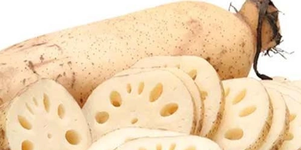 Lotus Stem - 250g