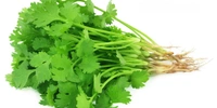 Coriander (धनिया) - 250g