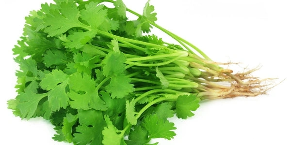 Coriander (धनिया) - 250g