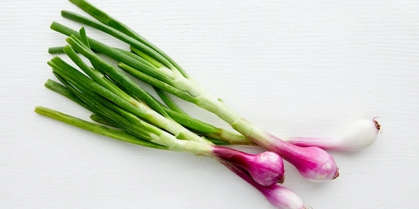 Spinning Onion (हरी प्याज) - 1 Bunche