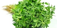 Fenugreek (मेंथी) - 250g