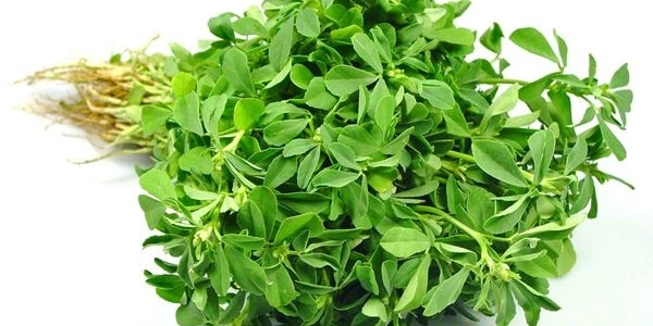 Fenugreek (मेंथी) - 250g