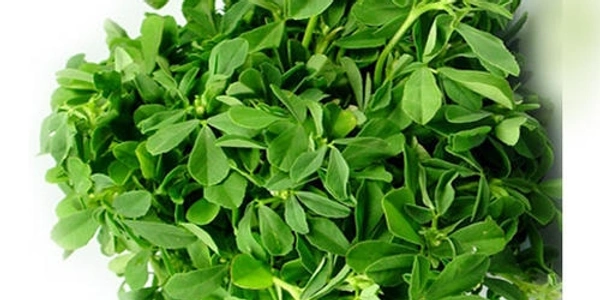 Fenugreek (मेंथी) - 250g