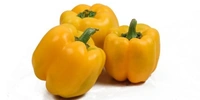 Yellow capcicum (पीली शिमला मिर्च) - 250g