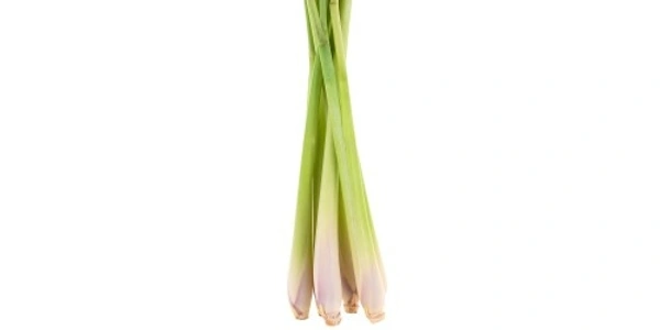lemon grass (नींबू घास) - 100g