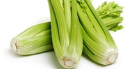 Celery (अजमोदा) - 100g 