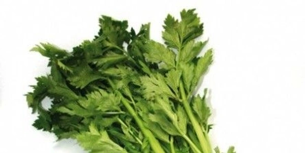 Celery (अजमोदा) - 100g 