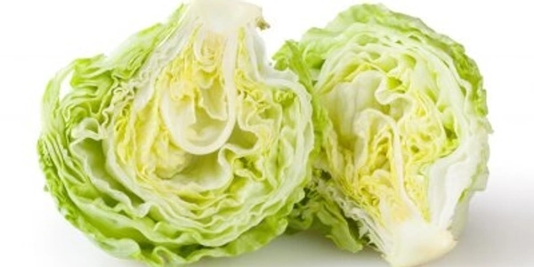  Iceberg letuce (सलाद पत्ता) - 250g