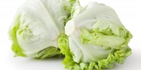  Iceberg letuce (सलाद पत्ता) - 250g