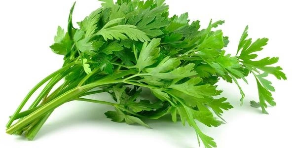Parsley (अजमोद) - 100g
