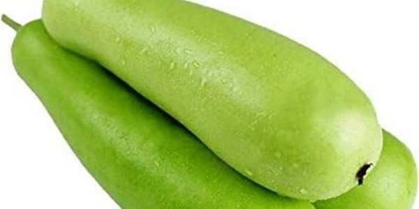 Bottle Gourd (लोकी) - 500g