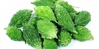 Bitter Gourd Small (करेला छोटा) - 250g