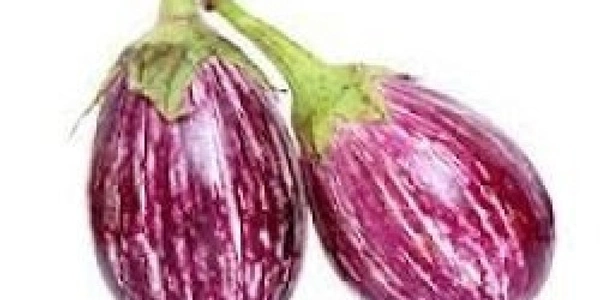 Brinjal Green (बैंगन हरा) - 500g 