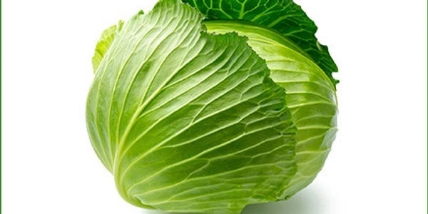 Cabbage (पत्ता गोभी) - 500g 