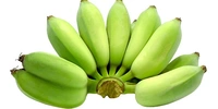 Raw Banana (कच्चा केला) - 500g 