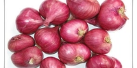  Sambhar Onion (दम प्याज) - 1kg