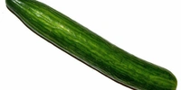 Cucumber Kolaveri (कोलवरी काकडी) - 500g