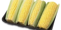 American Corn (अमेरिकन भुटा) - 1 Piece 