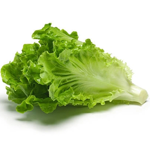 Roman lettuce (रोमन सलाद) - 500g 