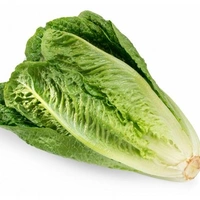 Roman lettuce (रोमन सलाद) - 500g 