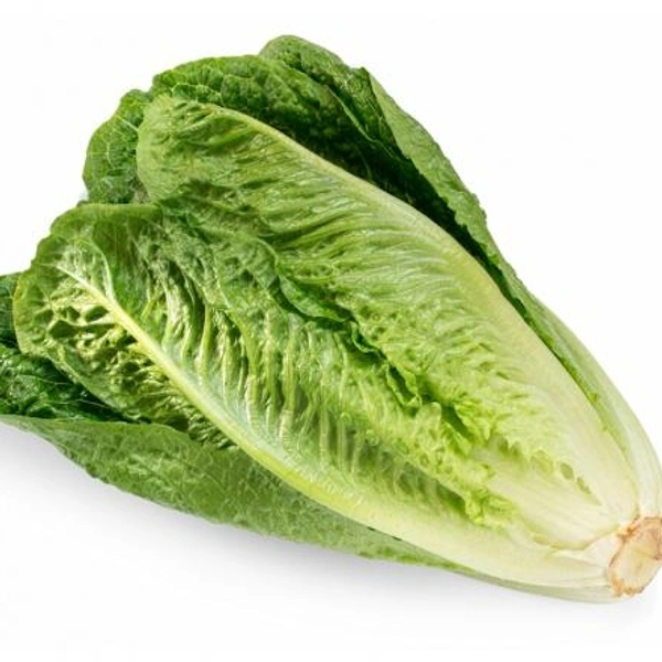 Roman lettuce (रोमन सलाद) - 500g 