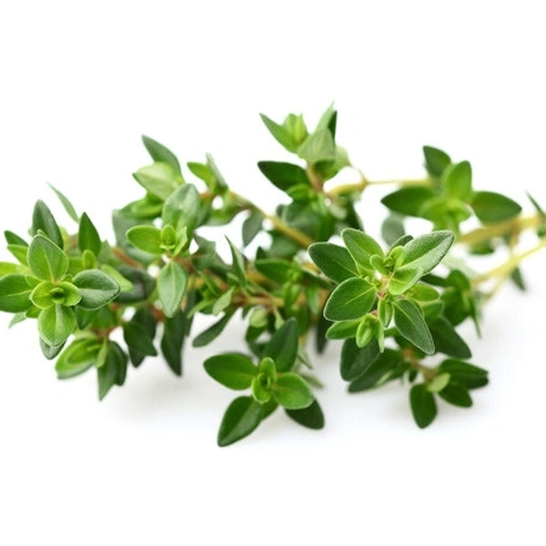 Thyme (अजवायन के फूल) - 100g