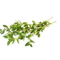 Thyme (अजवायन के फूल) - 100g