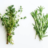 Thyme (अजवायन के फूल) - 100g
