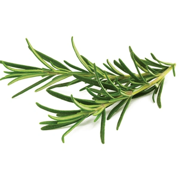 Rosemary (रोजमैरी) - 100g 
