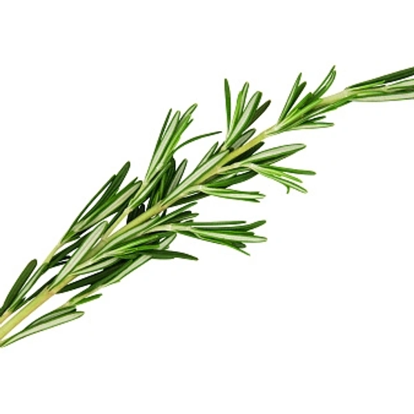 Rosemary (रोजमैरी) - 100g 